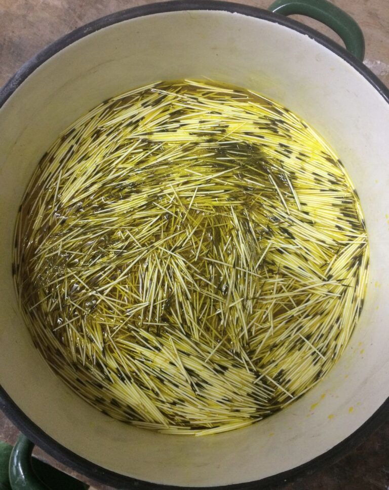 Dyeing the quills in a pot of warm water and a dye. Such dyeing can take up to several hours.