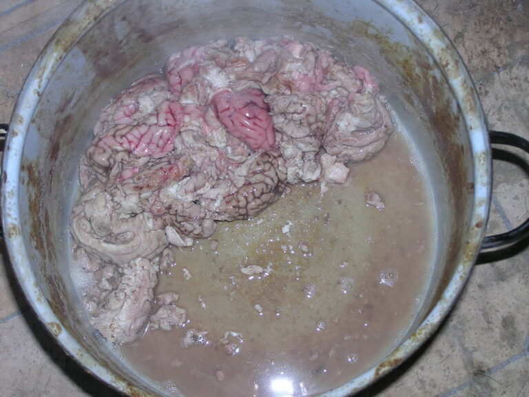 Cooked animal brains ready to be rubbed into a hide.