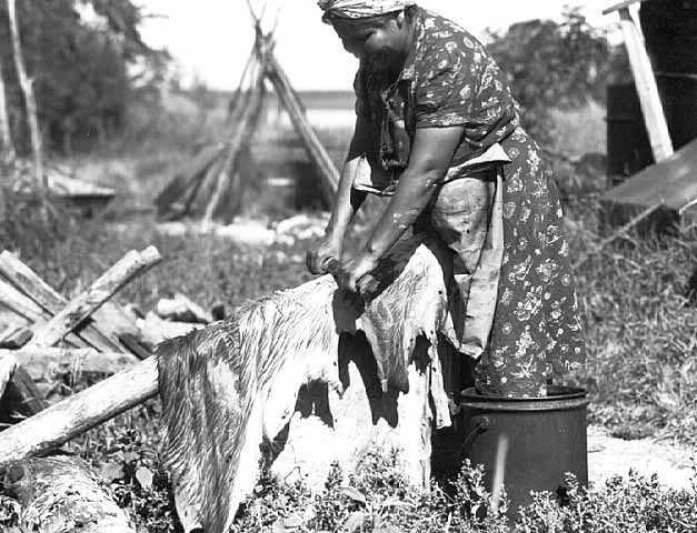 An Ojibway Indian woman wet-scraping a hide on a wooden beam.